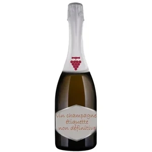 Champagne Moët & Chandon Brut
Caisse Bois