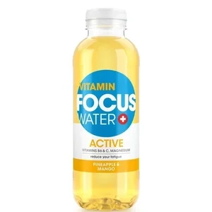 Focuswater Active Ananas et Mangue Pet 12-Pack 