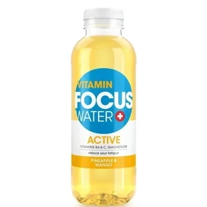 Focuswater Active Ananas et Mangue Pet 12-Pack 